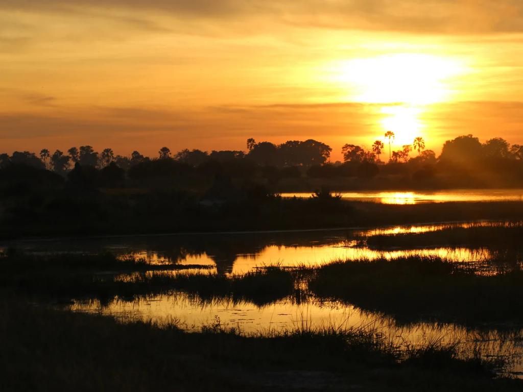 Destination de voyage Botswana - Achetez un eSIM Botswana pour internet mobile