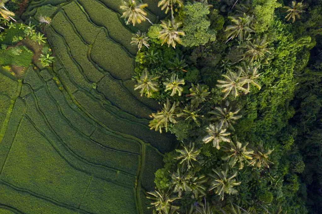 eSIM Canggu - Achetez des données prépayées pour Canggu, Indonésie