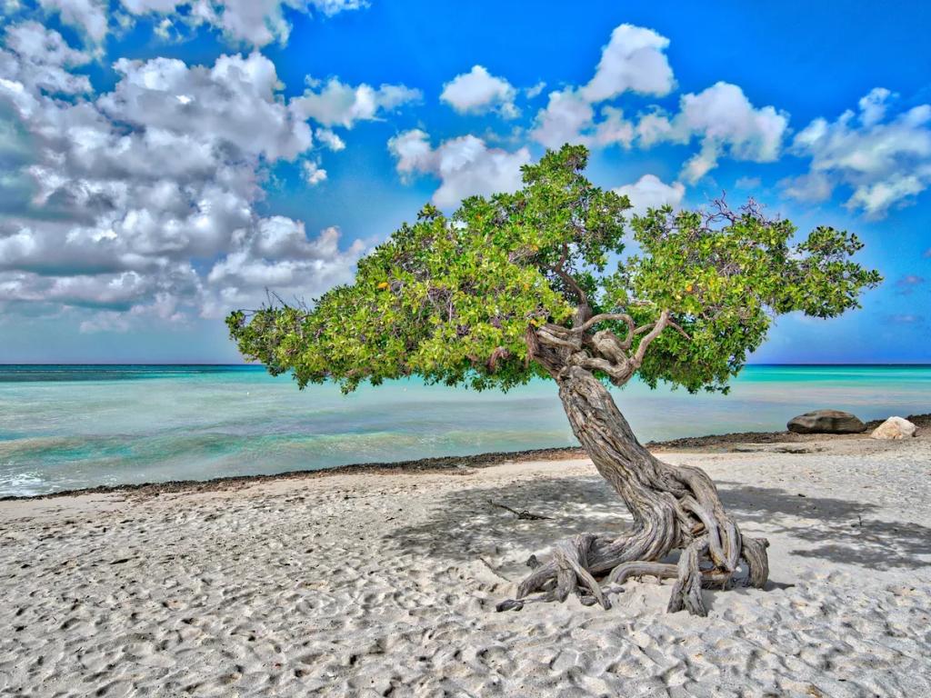 Destination de voyage Aruba - Achetez un eSIM Aruba pour internet mobile